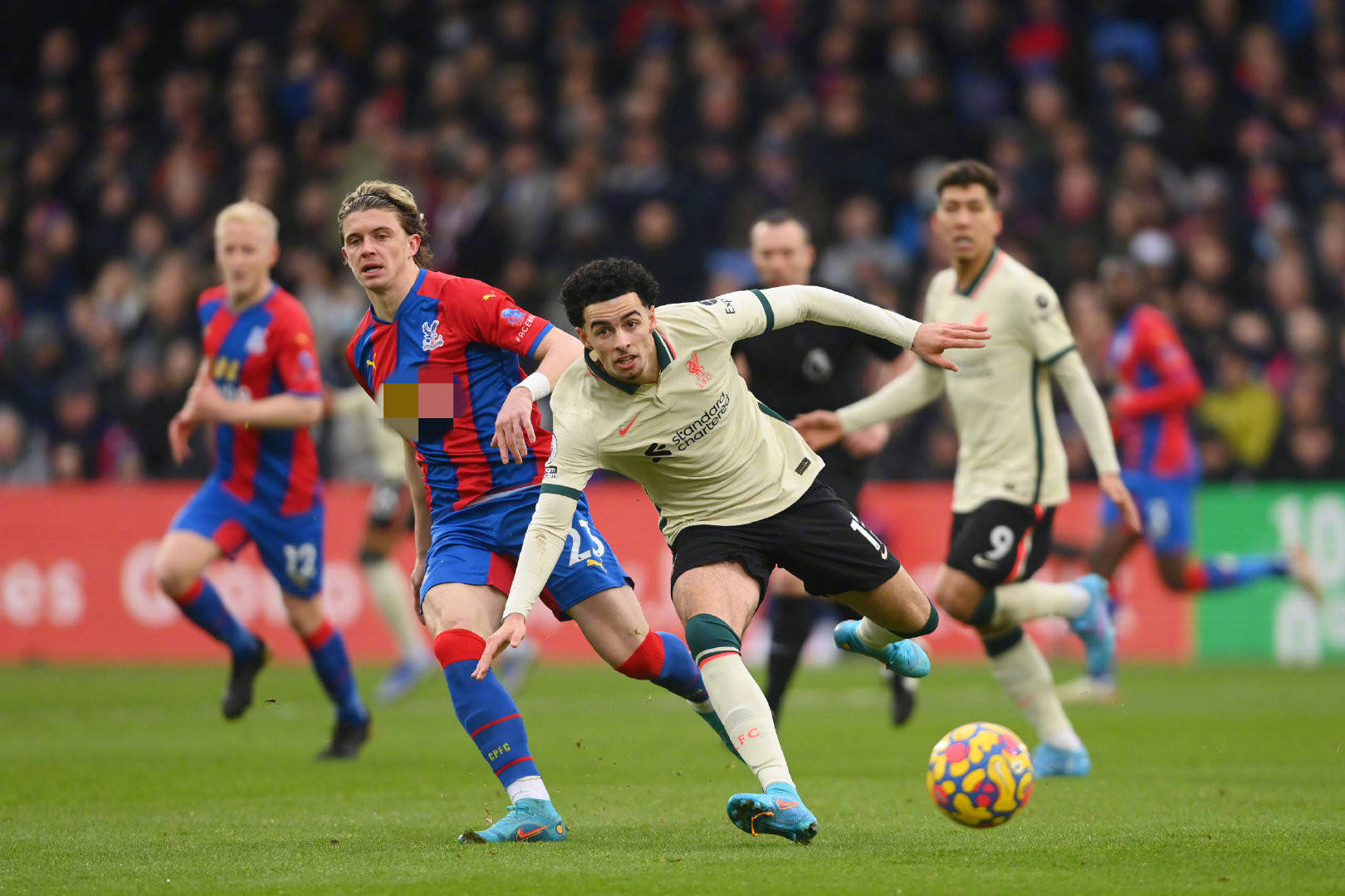 卓越的表現 卓越的表現